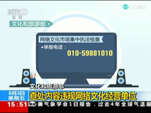 文化和旅游部嚴查網絡文化經營違規行為，推動行業健康發展