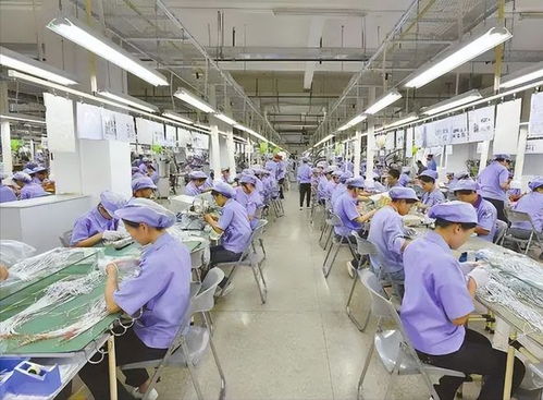 從離婚到千萬網(wǎng)紅 福建女孩的逆襲人生與婚姻服務(wù)的思考